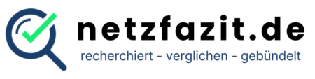 Logo netzfazit.de